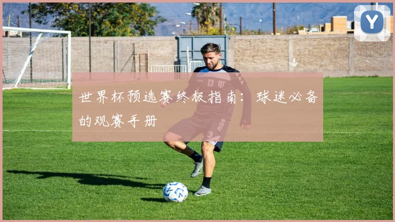 世界杯预选赛终极指南:球迷必备的观赛手册