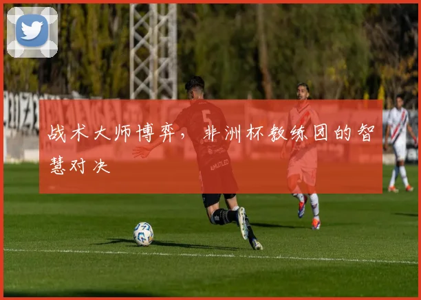 战术大师博弈，非洲杯教练团的智慧对决