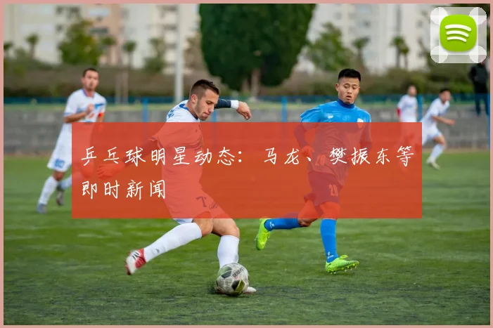 乒乓球明星动态:马龙、樊振东等即时新闻