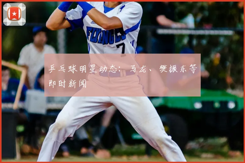 乒乓球明星动态:马龙、樊振东等即时新闻