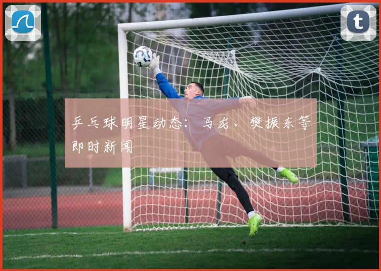 乒乓球明星动态:马龙、樊振东等即时新闻