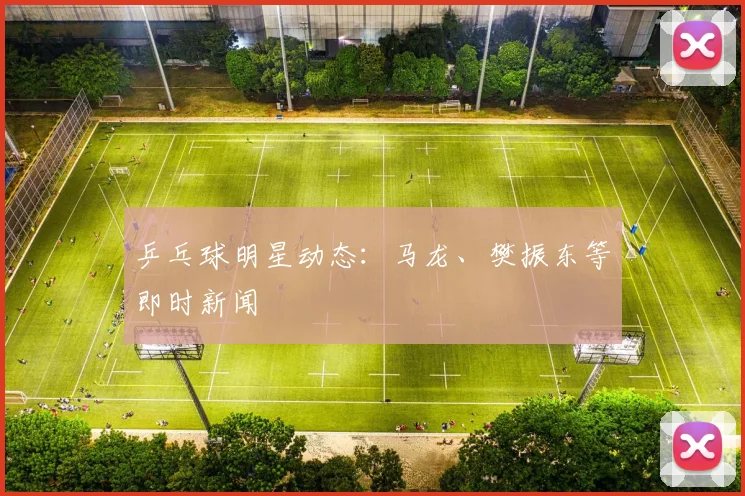 乒乓球明星动态：马龙、樊振东等即时新闻