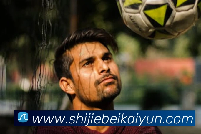 登录器